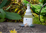 Moisturizing & Anti Bacterial Hand Soap